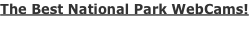 shapeimage_18_link_16